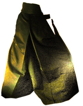 Hakama_detoure_02b.jpg